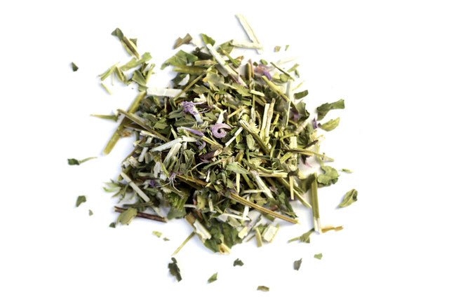 Bergamot / Bee Balm