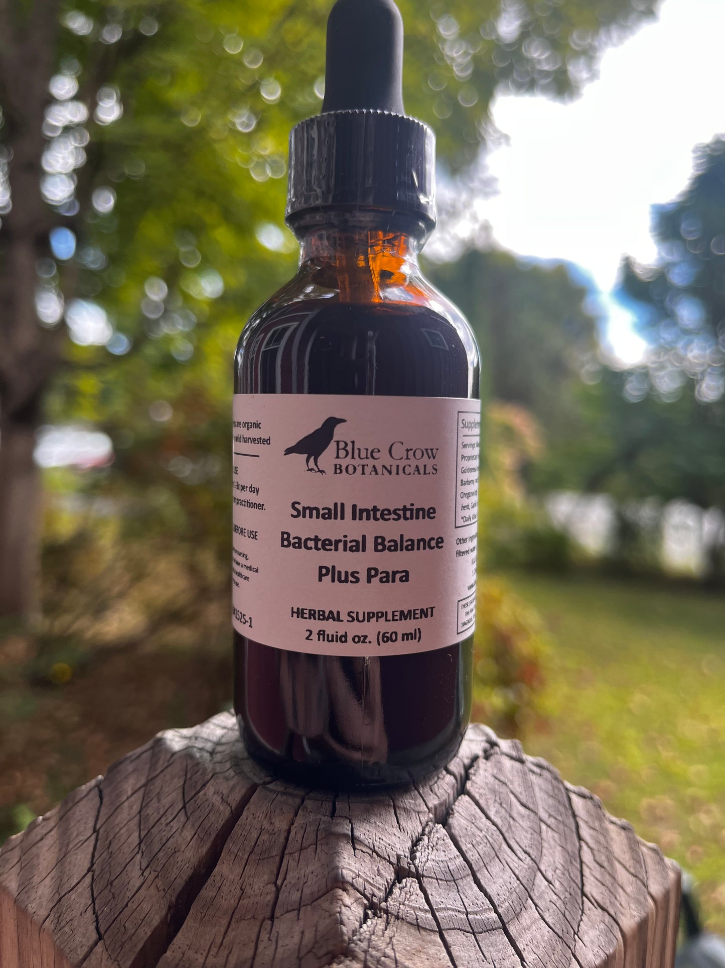 Small Intestine Bacterial Balance + Para