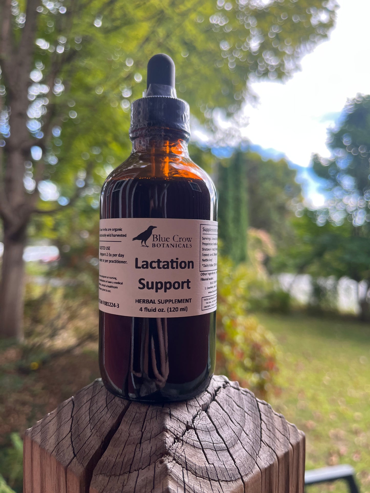Lactation Support