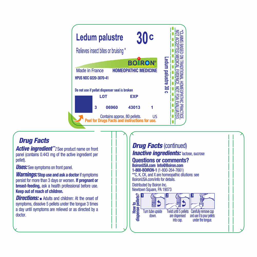 Ledum palustre 30c