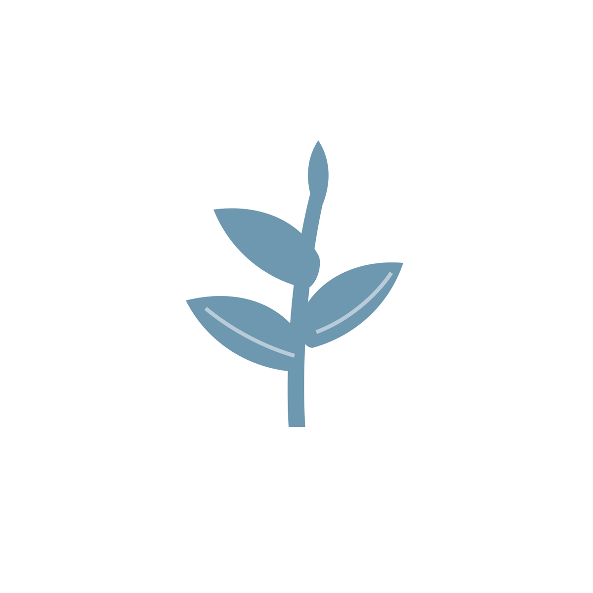 Bulk Herbs