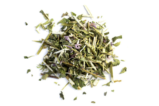 Bergamot / Bee Balm
