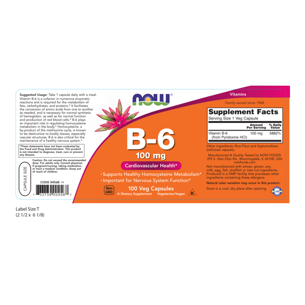 B-6 100mg