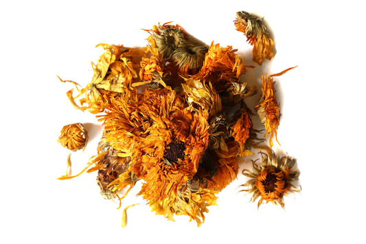 Calendula