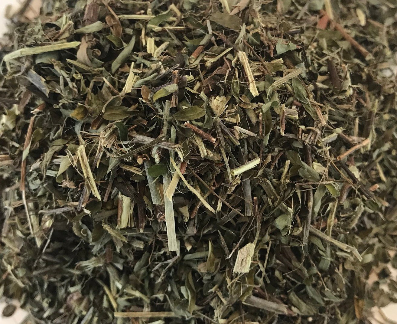 Chanca Piedra