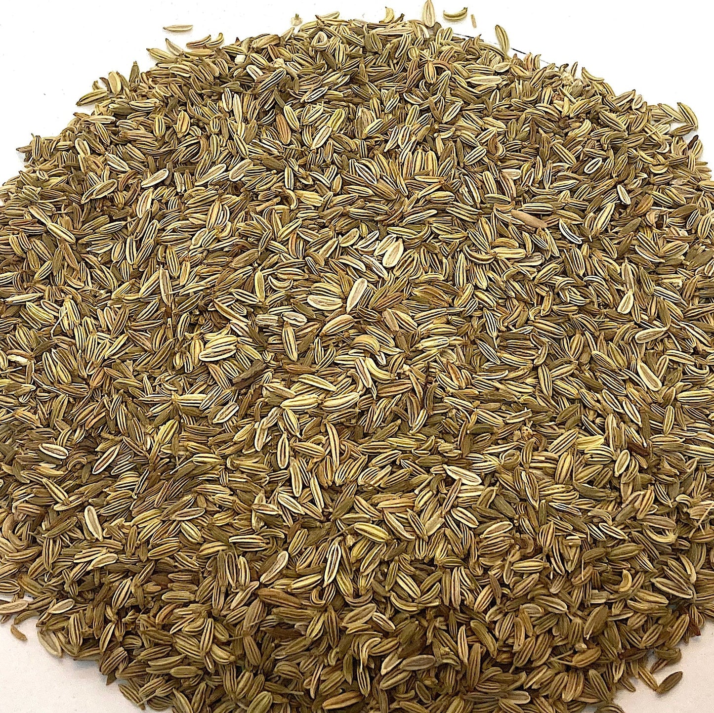 Fennel Seed