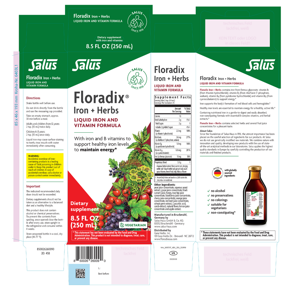 Floravital Iron + Herbs